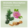 thumbnail image 2 of doTERRA - TerraShield Essential Oil Outdoor Blend - 15 mL, 2 of 3