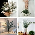 thumbnail image 6 of 12 Pcs Dried Eucalyptus Bundle - 100% Real Natural Eucalyptus Leaves, 17'' Fresh Eucalyptus Stems for Shower, Aromatherapy, Flower Vase Arrangements, Wedding Home Greenery Decor (Green), 6 of 7