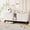 White, variant on Cat Litter Box Enclosure for 2 Cats, Hidden Litter Boxes Furniture with Cat Litter Mat, Large Indoor Pet House with Double Room, Wooden TV Stand Side Table, Black