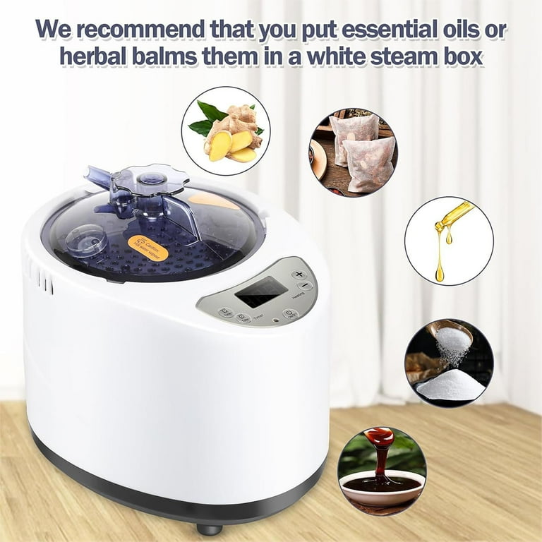 Isvgxsz 3L Sauna Steamer, Portable Steam Generator, Large