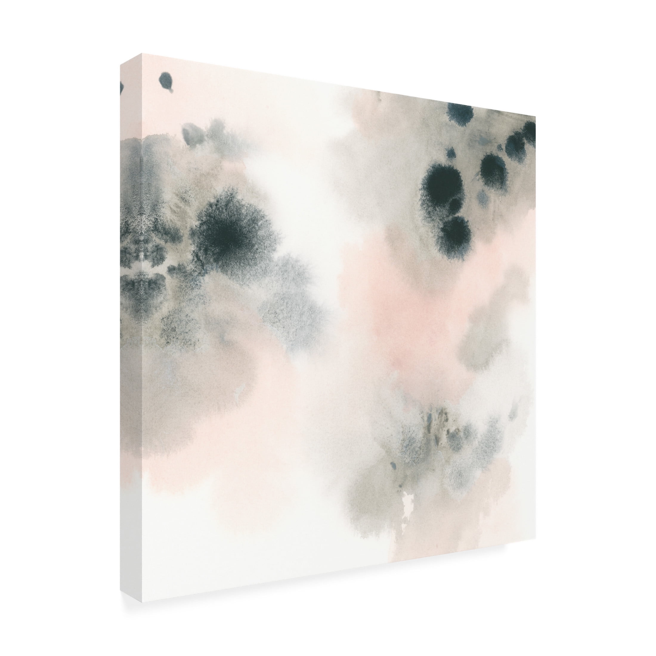 Trademark Fine Art June Erica Vess  Electron Bloom II Canvas Wall Art