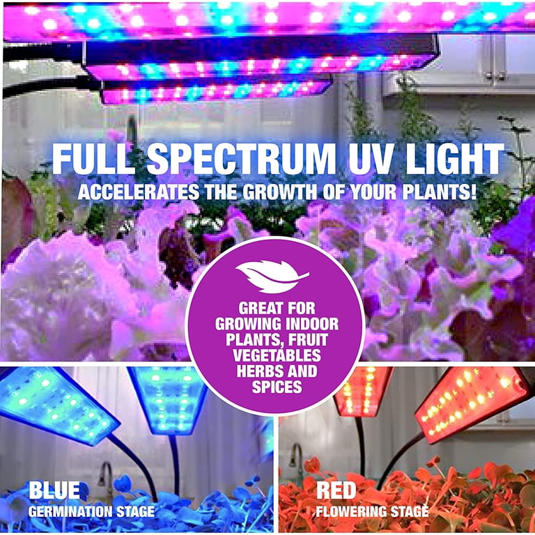 Bell+Howell Bionic Grow Light for Indoor Plants 4 Heads Flexible Growing  Lamp with 8 Brightness Settings, 3 Light Modes Including Full Spectrum UV  Light Growing Plant Light As Seen On TV - Walmart.com