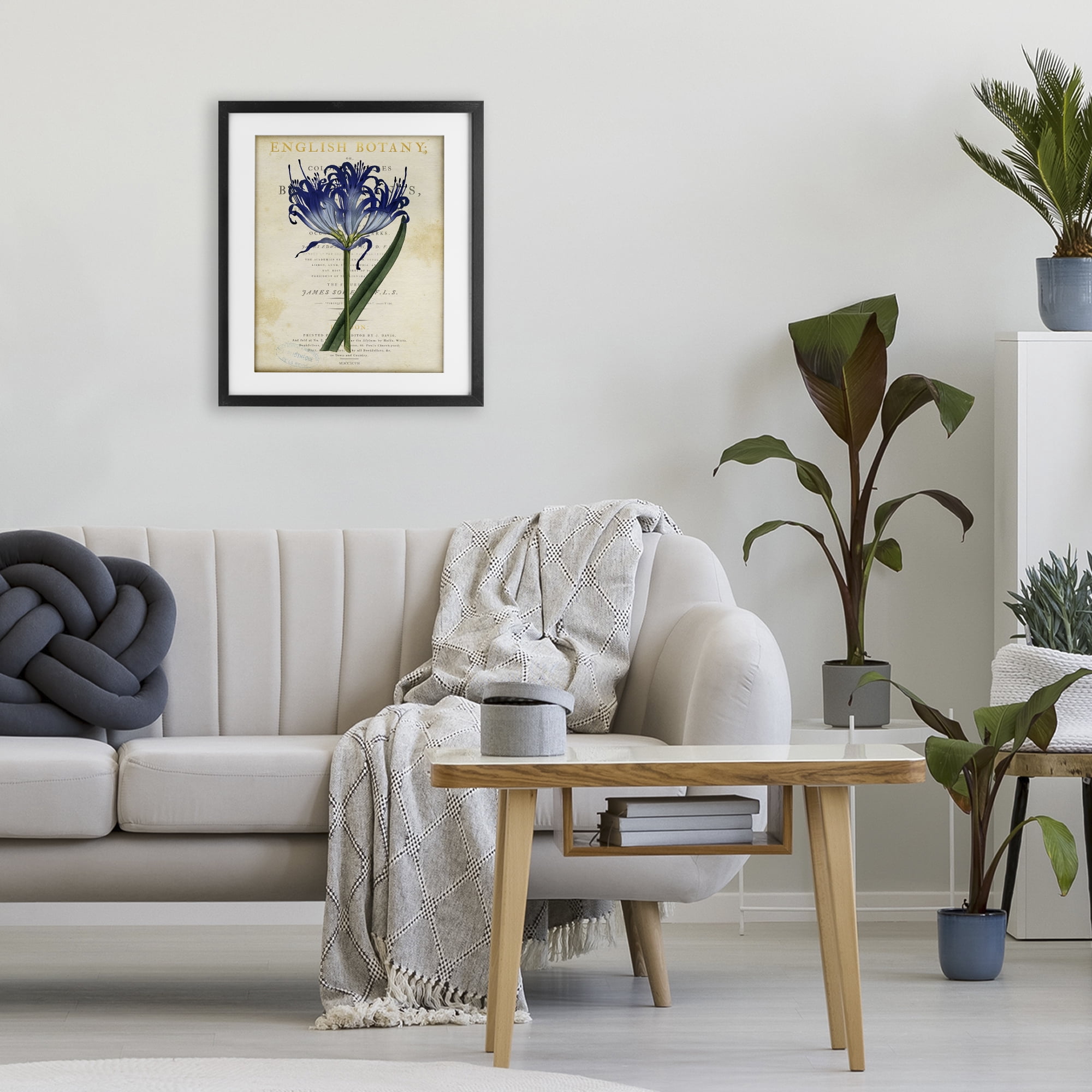 Stupell Industries English Botany Blue Floral Black Framed Print Under Glass, design by Susan Arnot