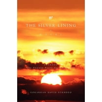 Silver Lining : A Novel