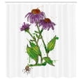 thumbnail image 3 of Ambesonne Coneflower Shower Curtain, Paint Blots Floral Art, 69"Wx70"L, Purple Green White, 3 of 5