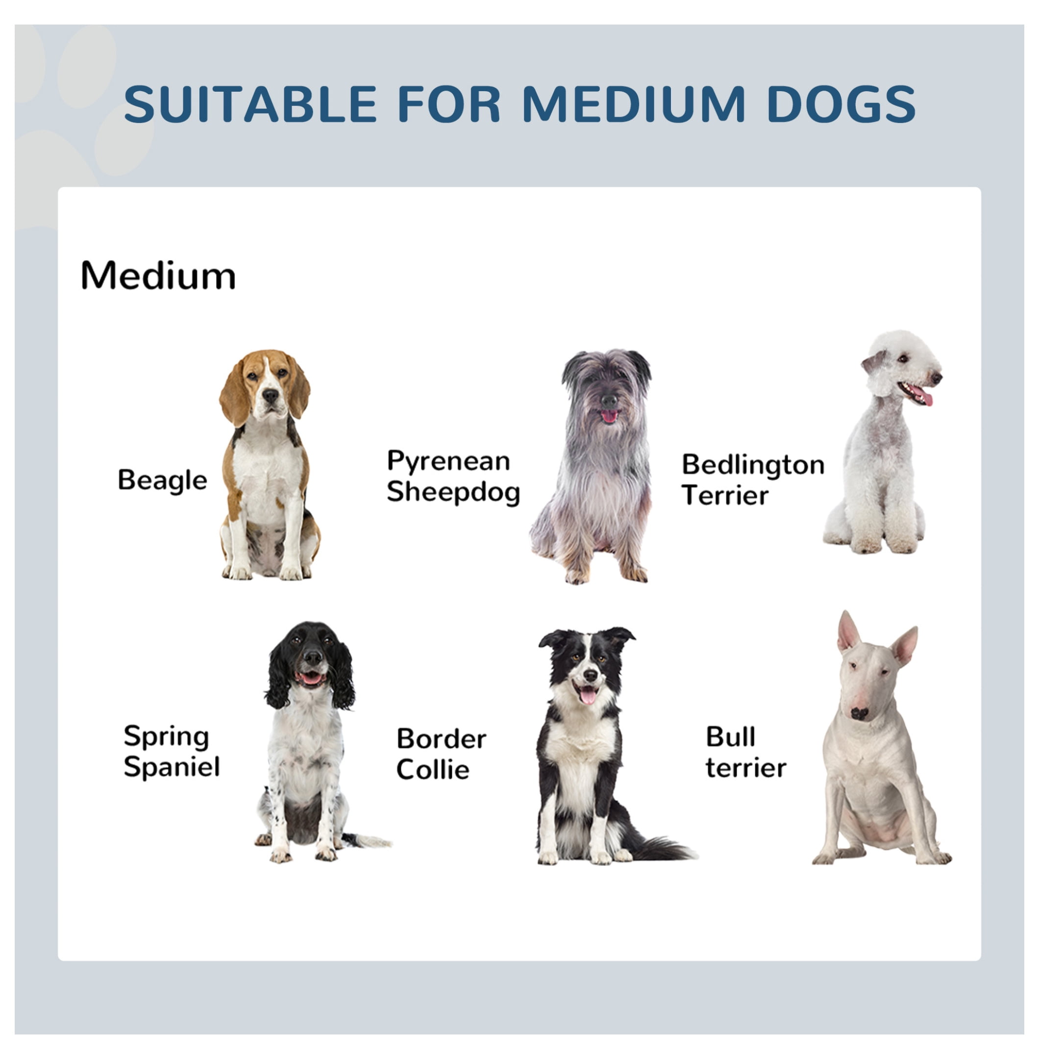 Double Dog Bowl Elevated Feeder - 17" Stainless Steel Pet Food Water Bowls - Heavy Duty Non-Slip Elevated Feeding Station for Dogs & Cats