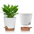 KAJHDGH Plastic Flower Pot With Water Added On The Side Green Pineapple