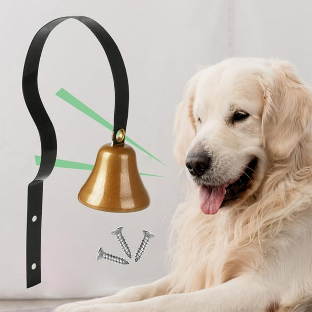Dog training on sale bells walmart