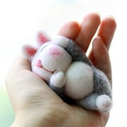 Feltsky Sleeping Rabbit Needle Felting Kits for Beginners Gift for Mother's Day Birthday 4 INCH Height