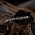 thumbnail image 3 of 6th Sense Party Minnow Soft Plastic Swimbait Drop Shot and Finesse Fishing Bait, 3 of 10