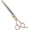 Thinning, variant on Professional Dog Grooming Scissors Rose Gold 440C Stainless Steel 7.5" Thinning Shears for Pet Grooming Services Dogs and Cats