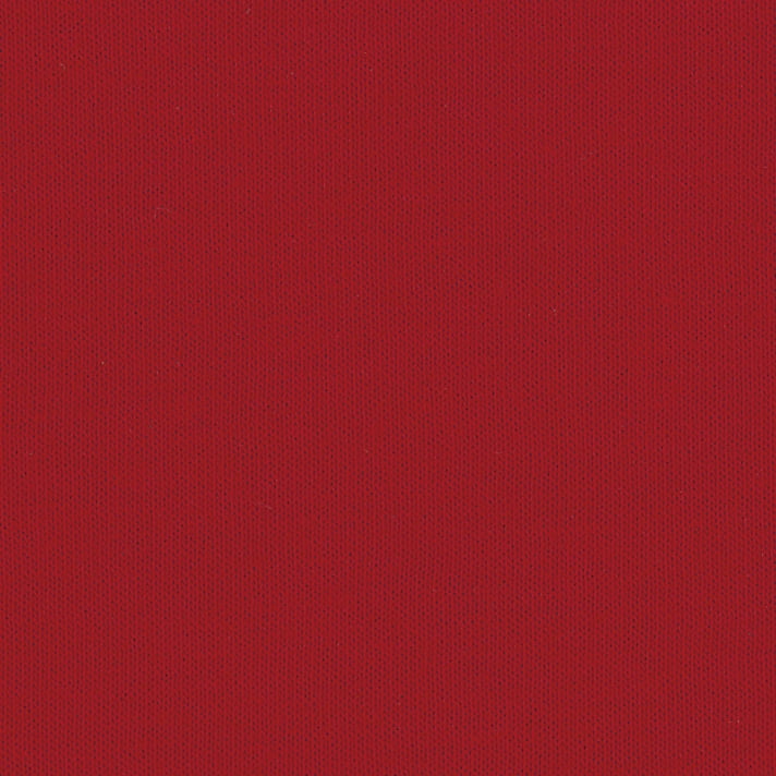 Canvas Red
