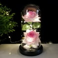 thumbnail image 2 of CNKOO Glass Rose Light Battery Powered Romantic Durable Two Artificial LED Roses Flower Gift for Valentine‘s Day, 2 of 10