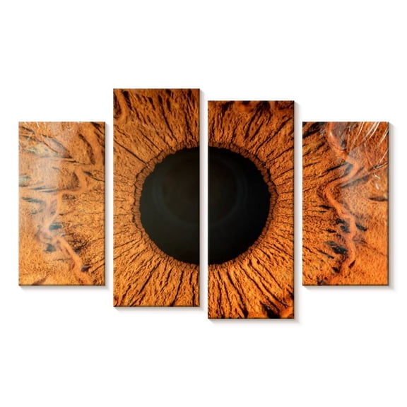 Elephant Stock Magnified Human Eye Wall Art - Horizontal Multi Panel Canvas - Living Room Wall Decor - Profession Multi Panel - Brown And Black Decor - 24" x 14"