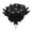 black, variant on Fnochy Halloween Black Roses with Eyeballs, Black Flowers with Stem Artificial Rose Bouquet, Fake Rose Flowers for Halloween Party Arrangements Home Wedding Decor (10)