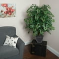 thumbnail image 3 of Vickerman 4' Artificial Ming Aralia Extra Full Bush, Gray Round Plastic Container., 3 of 3