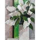thumbnail image 1 of Paul Donaghy - Lienzo Impreso Diseño Lila Blanca (Gris, Blanco, Verde), 1 of 2