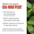 thumbnail image 5 of Botanicare Tomato Synthetic Fertilizer, 1 gal, 5 of 9