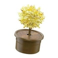 thumbnail image 4 of TISHITA Crystal Growing Yellow, 4 of 8