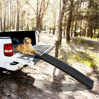 Dog Ramp Car Back Seat