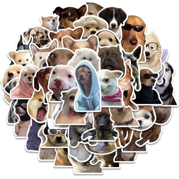 50 Pcs Funny Dogs Meme Stickers for Laptop Water Bottle, Vinyl Waterproof Graffiti Decals