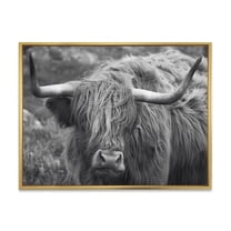 Designart 'Close Up Of Scottish Cow On Moorland I' Farmhouse Framed Canvas Wall Art Print