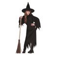 thumbnail image 1 of BRUJA con SOMBRERO - TERCIOPELO CHD MED RG Costumes 91314-M, 1 of 1