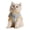 Blue, variant on YIFAEUX Cats Fuzzy Vest Winter Warm Outfit Cat Daily Outing Clothes Fluffy Pets Coat Cute Dog Sweater for Girl Boy Kittens Puppies Small Dogs