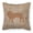 Multi, variant on Carolines Treasures BB1009-BL-OR-PW1414 Lion Burlap and Orange   Canvas Fabric Decorative Pillow BB1009 14Hx14W