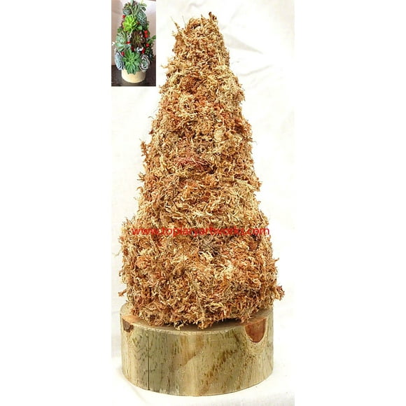 Christmas Tree Cone Sphagnum Moss Topiary Form - Medium