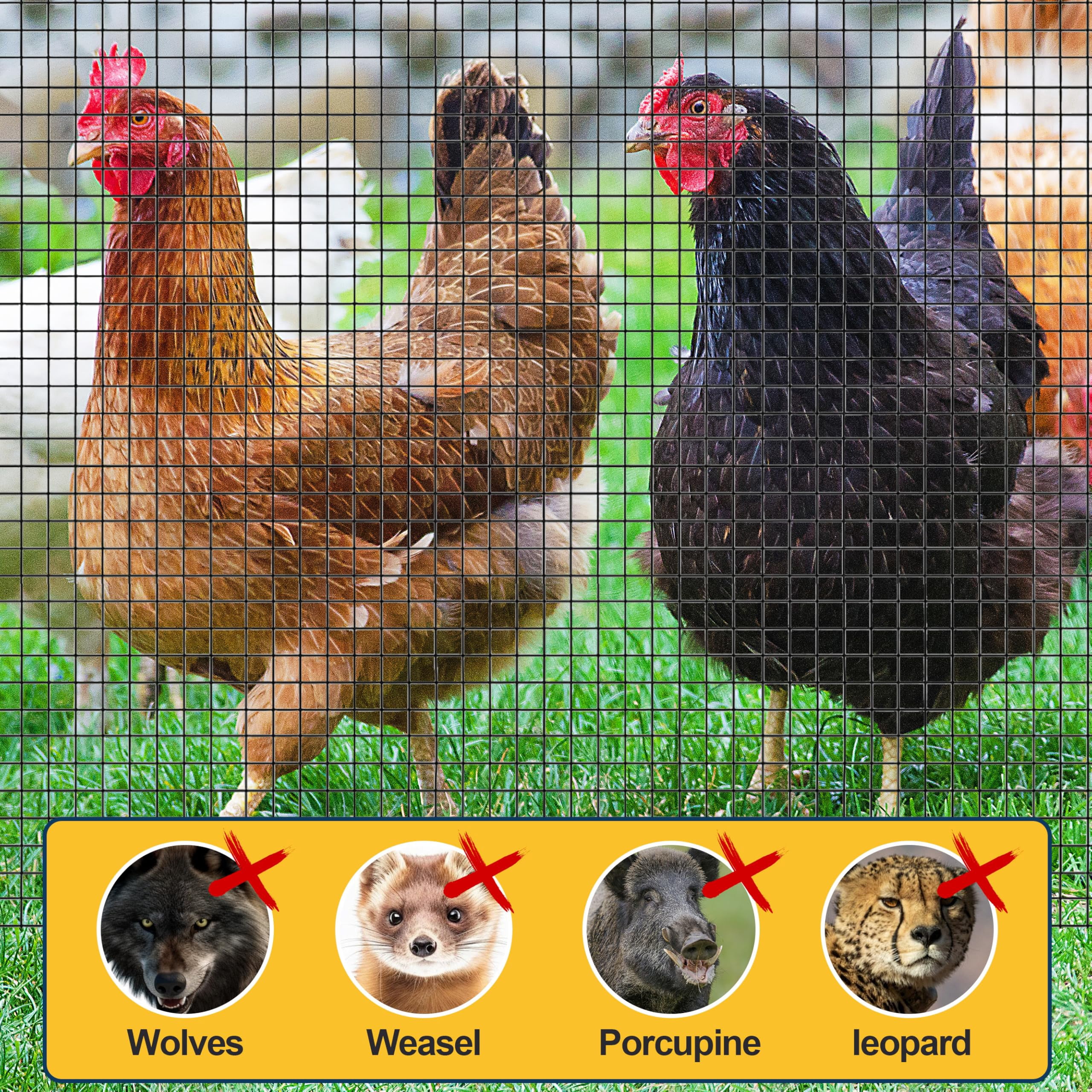 Bibana Hardware Cloth, 1/2 Inch 48" x 100 ft Black Vinyl Metal Mesh Roll, 19 Gauges Chicken Wire Fence Roll, Welded Wire Fencing PVC Coated Wire Fence Rolls for Chicken Coop, Poultry