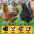 thumbnail image 5 of Bibana Hardware Cloth, 1/2 Inch 48" x 100 ft Black Vinyl Metal Mesh Roll, 19 Gauges Chicken Wire Fence Roll, Welded Wire Fencing PVC Coated Wire Fence Rolls for Chicken Coop, Poultry, 5 of 6