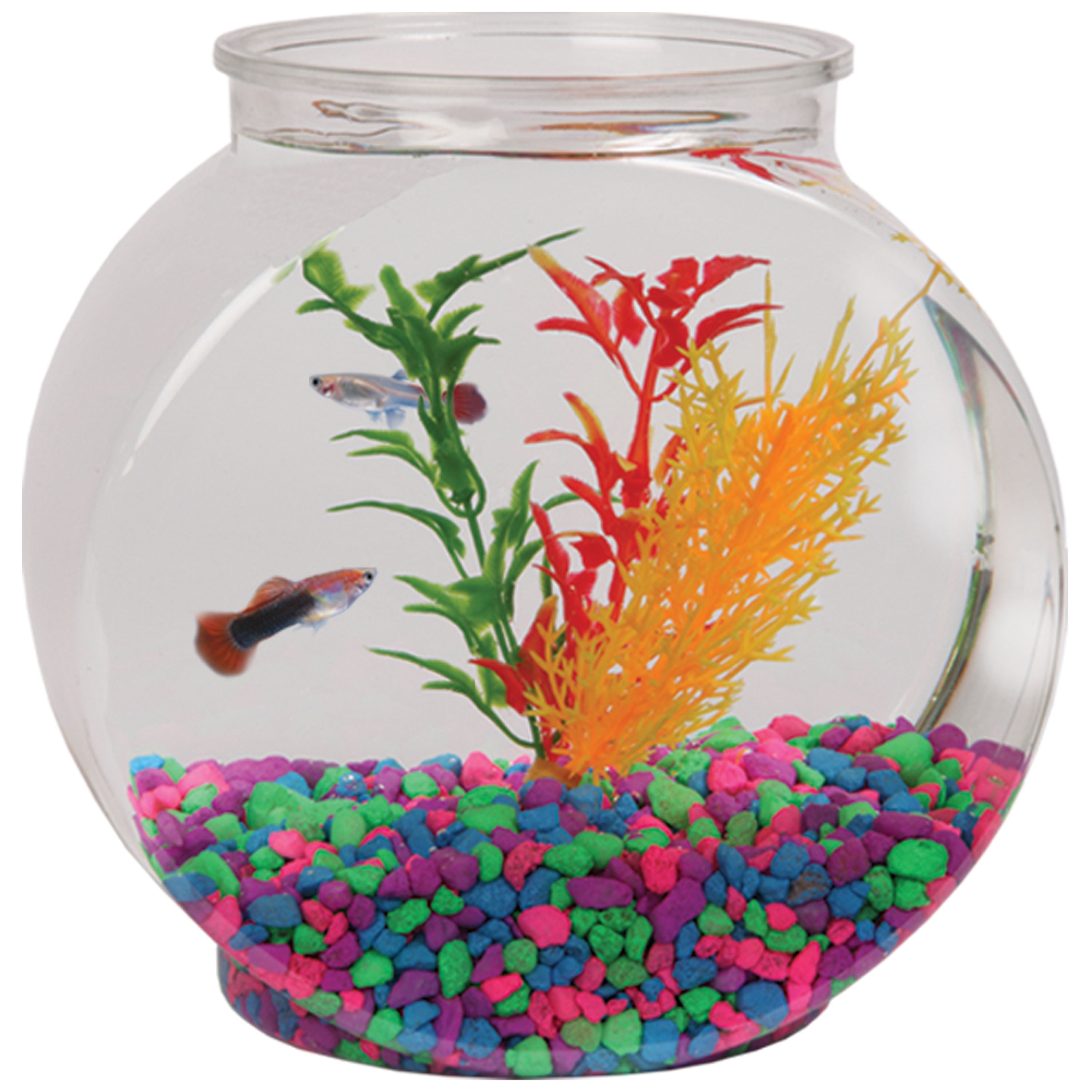 (4 pack) Aqua Culture Aquarium Gravel, Rainbow, 2 lb