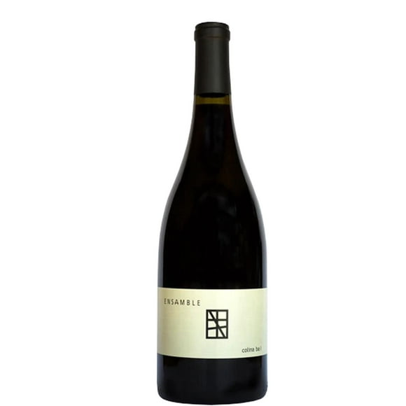 Pack de 6 Vino Tinto Bodega Paralelo Colina Ba I 750 ml