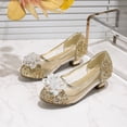thumbnail image 3 of VeFlora Girls Dress Shoes, Glitter Princess Shoe, Flower Mary Jane Low Heels, Party Wedding Prom Footwear for Toddler Kids(Gold1/5-5.5 Years Little Child), 3 of 9