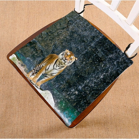 

PHFZK Animal Chair Pad Tiger Standing on the Rock near the waterfall mountain landscape Seat Cushion Chair Cushion Floor Cushion Two Sides Size 20x20 inches