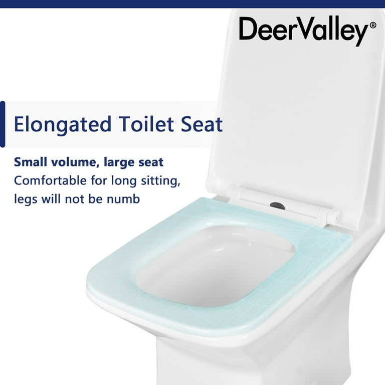 Ace One-Piece 0.8/1.28 GPF Dual-Flush Rectangular Floor