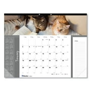 Blueline Pets Collection Monthly Desk Pad, Furry Kittens Photography, 22 x 17, White Sheets, Black Binding, 12-Month (Jan-Dec): 2024