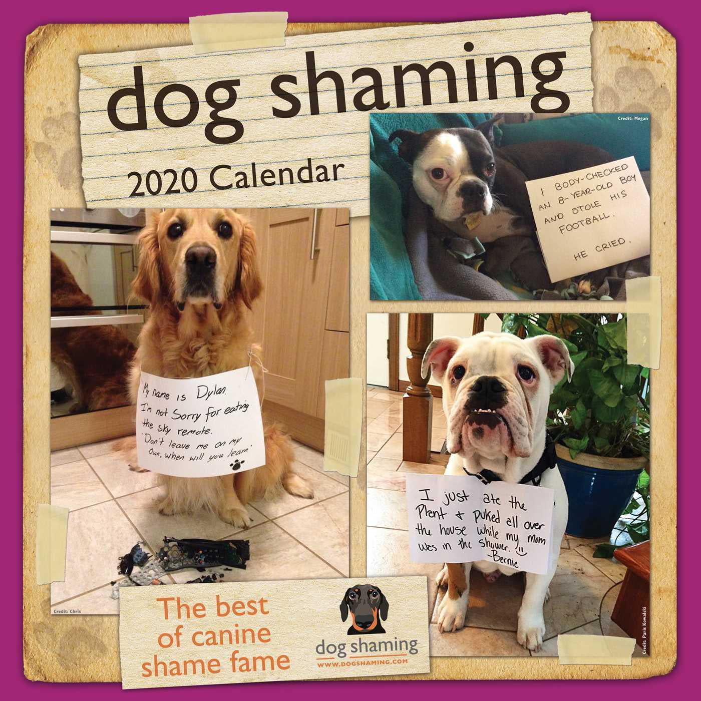 dog-shaming-2020-wall-calendar-other-walmart