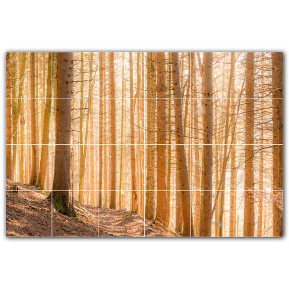 Picture-Tiles.com: Trees Ceramic Tile Wall Mural WAL501007-64L. 48"W x 32"H using (24) 8" x 8" Ceramic Tiles-Satin Finish