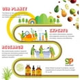 thumbnail image 5 of GreenPeach Organic Liquid Multivitamin & Mineral Supplement for Kids, 5 of 6