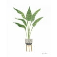thumbnail image 2 of Zaman, Farida 12x14 Gold Ornate Wood Framed with Double Matting Museum Art Print Titled - Green House Plants III, 2 of 4