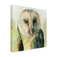 thumbnail image 2 of Trademark Fine Art 'Harlequin Hibou I' Canvas Art by Grace Popp, 2 of 4