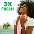 thumbnail image 5 of Gain Happy Hibiscus Hula Mega Dryer Sheets - 60 ct, 5 of 5