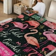 thumbnail image 2 of FCXZI Quilt Flamingos Maximalism Flannel Blanket for Couch Bed Sofa 60*80in, 2 of 7