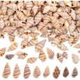 thumbnail image 2 of Approx 800pcs Tiny Natural Sea Shells Mini Ocean Beach Spiral Conch  for DIY Crafts Vase Fillers Wedding Party Garland Table Decoration, 2 of 8
