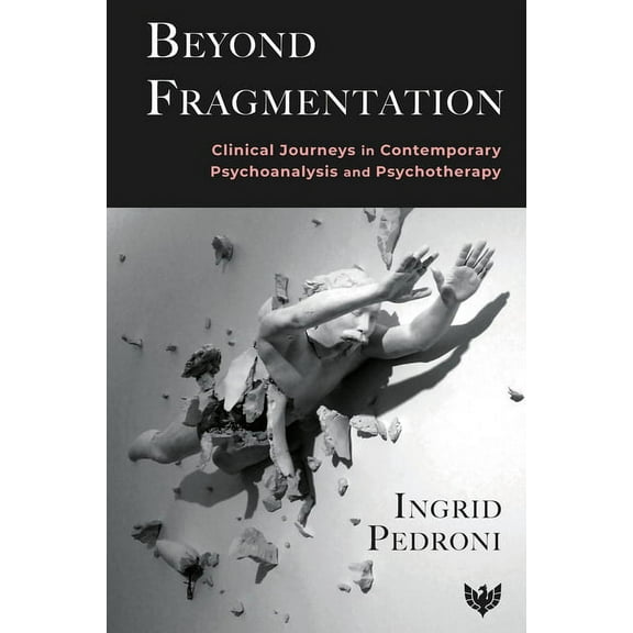 Beyond Fragmentation: Clinical Journeys in Contemporary Psychoanalysis and Psychotherapy (Paperback)