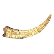 Dinosaur Claw Replica - Therizinosaur - 23"