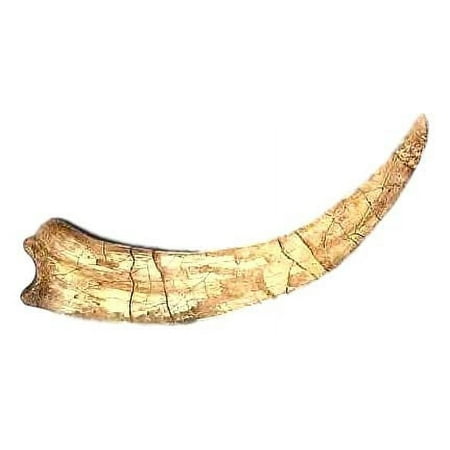 Dinosaur Claw Replica - Therizinosaur - 23"