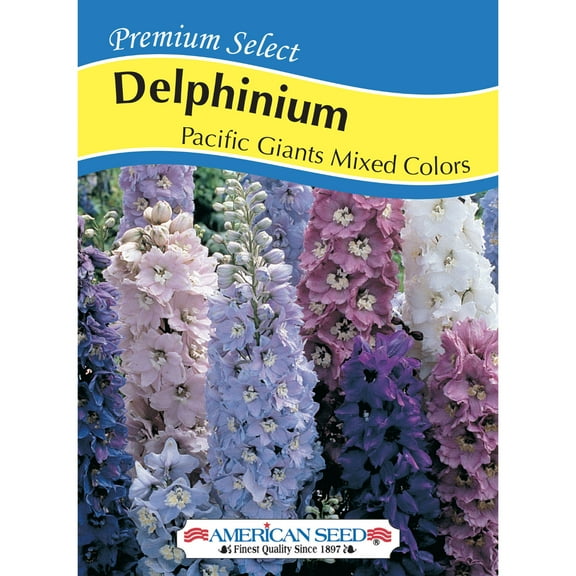 American Seed Delphinium Pacific Giants Mixed Colors Perennial Flower Seeds Partial Shade